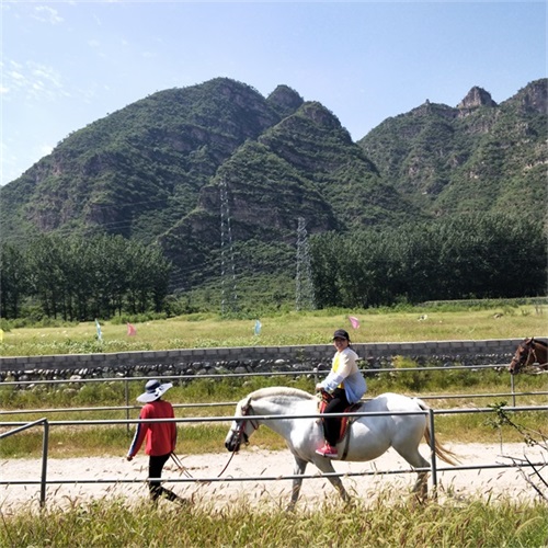 ���^�� ���g�� ����ӛ��(chu��ng)Ԫ����Ұ��������