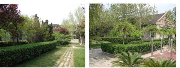 ɭW(xu)УV᣿